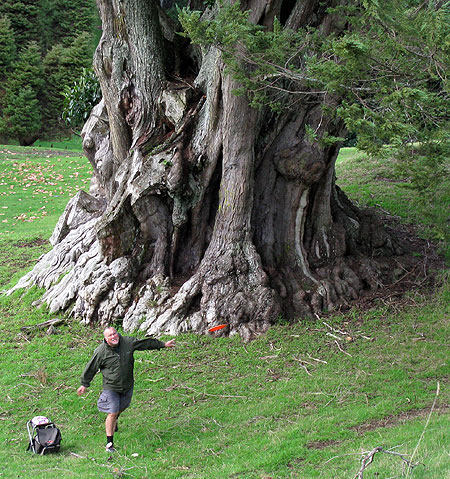 Disc Golf New Zealand