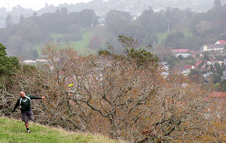 Disc Golf New Zealand