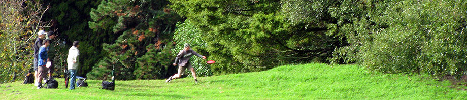 Disc Golf New Zealand