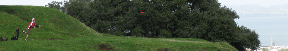 Disc Golf New Zealand