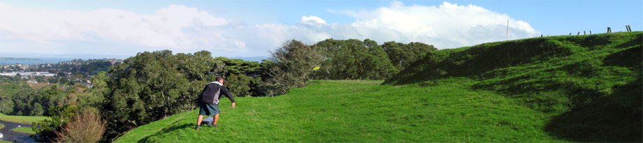 Disc Golf New Zealand