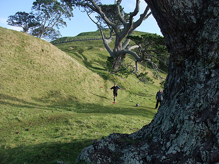 Disc Golf New Zealand