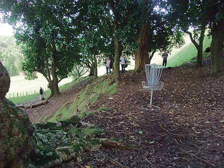 Disc Golf New Zealand