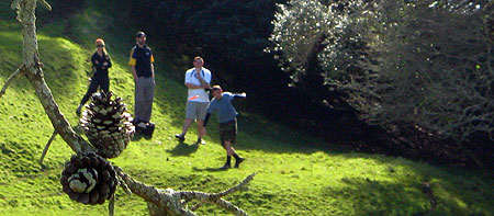 Disc Golf New Zealand