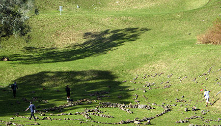 Disc Golf New Zealand