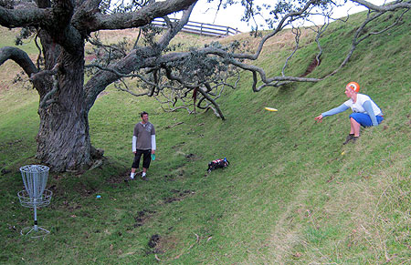 Disc Golf New Zealand