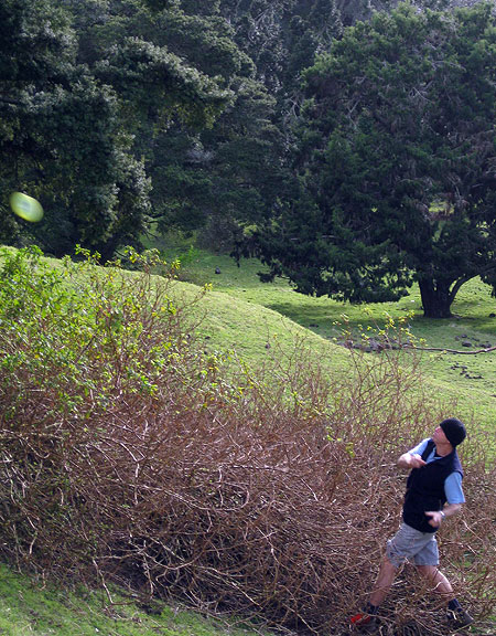 Disc Golf New Zealand