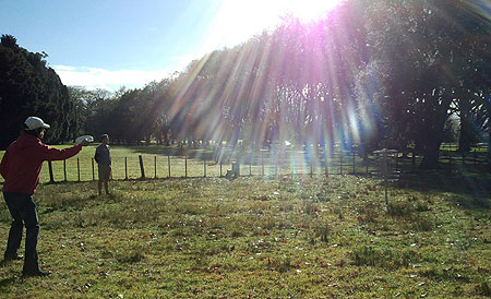 Disc Golf New Zealand