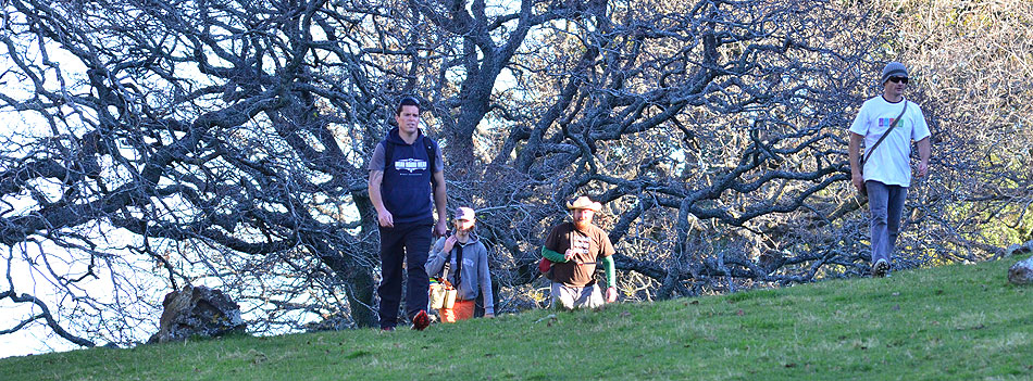 Disc Golf New Zealand