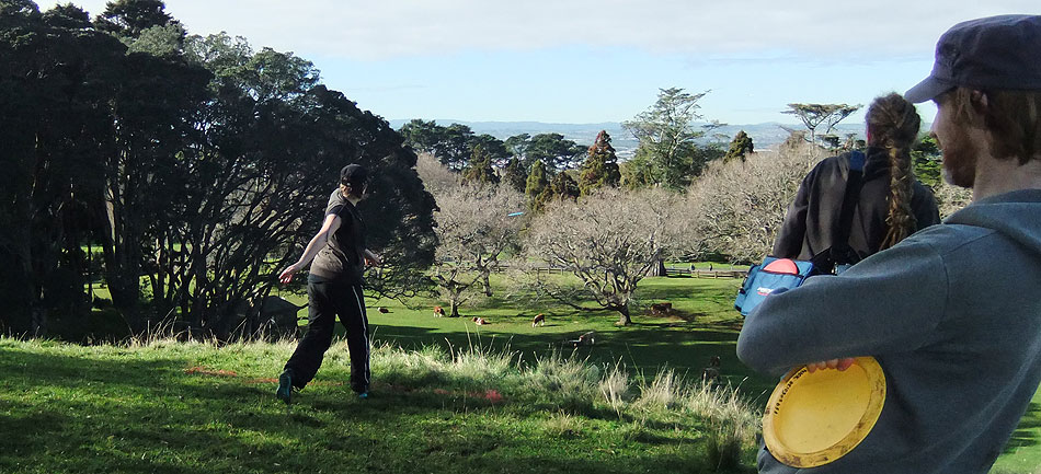 Disc Golf New Zealand