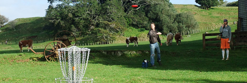 Disc Golf New Zealand