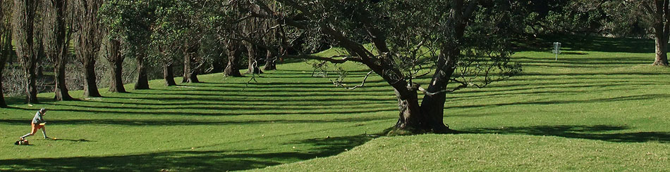 Disc Golf New Zealand