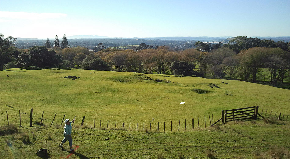 Disc Golf New Zealand