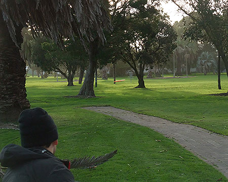 Disc Golf New Zealand