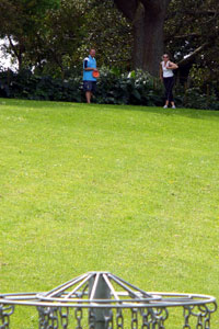 Disc Golf in Auckland