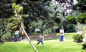 Disc Golf in Auckland