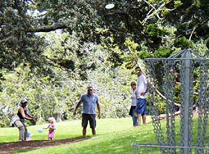 Disc Golf in Auckland