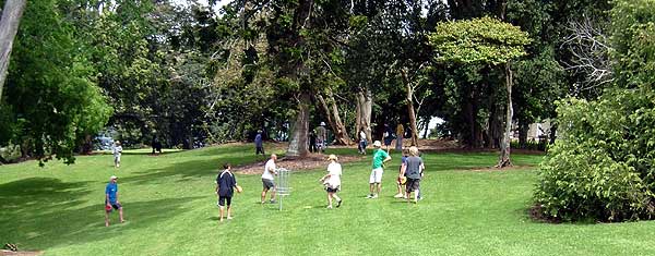 Disc Golf in Auckland