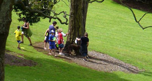 Disc Golf in Auckland