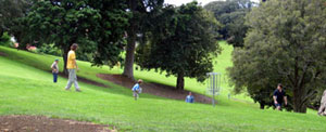 Disc Golf in Auckland