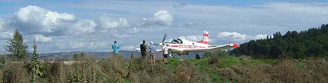 Disc Golf New Zealand