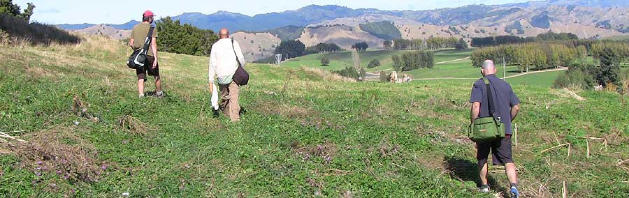 Disc Golf New Zealand