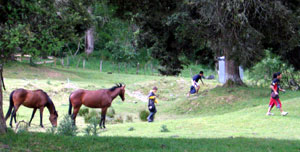 Disc Golf New Zealand - www.discgolf.co.nz