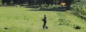 Disc Golf New Zealand - www.discgolf.co.nz