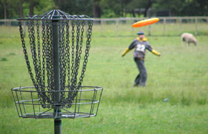 Disc Golf New Zealand - www.discgolf.co.nz