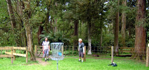 Disc Golf New Zealand - www.discgolf.co.nz