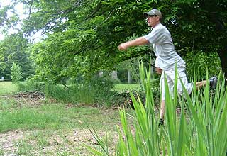 Disc Golf New Zealand Disc Golf New Zealand