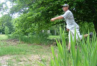 Disc Golf New Zealand