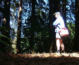 Disc Golf New Zealand Disc Golf New Zealand