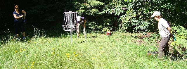 Disc Golf New Zealand