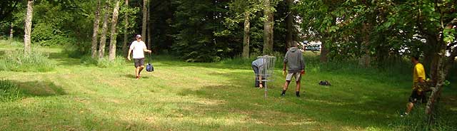 Disc Golf New Zealand