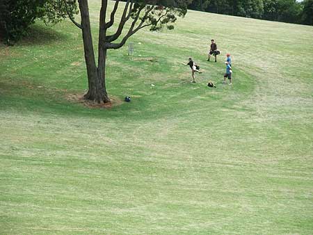 Disc Golf New Zealand