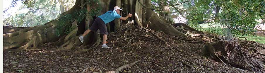 Disc Golf New Zealand