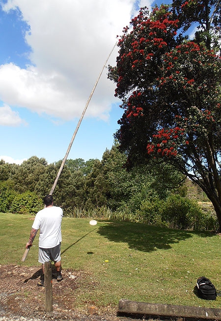 Disc Golf New Zealand