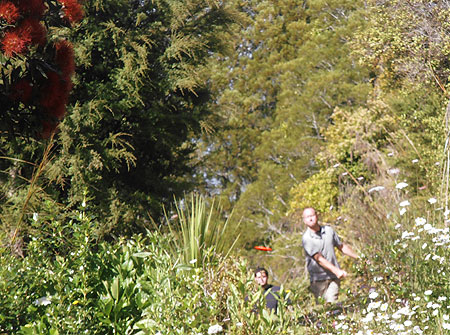 Disc Golf New Zealand
