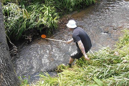 Disc Golf New Zealand