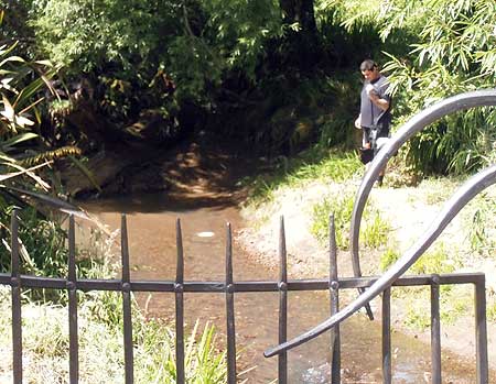 Disc Golf New Zealand