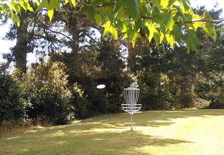 Disc Golf New Zealand