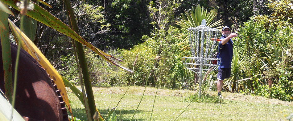 Disc Golf New Zealand