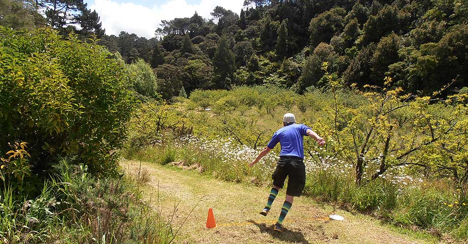 Disc Golf New Zealand