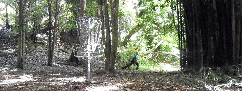 Disc Golf New Zealand