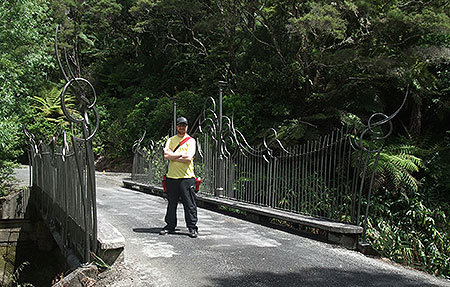 Disc Golf New Zealand