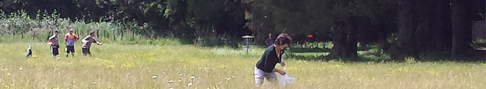 Disc Golf New Zealand