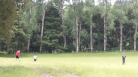 Disc Golf New Zealand