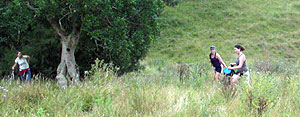 Disc Golf New Zealand Disc Golf New Zealand