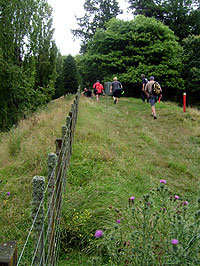 Disc Golf New Zealand